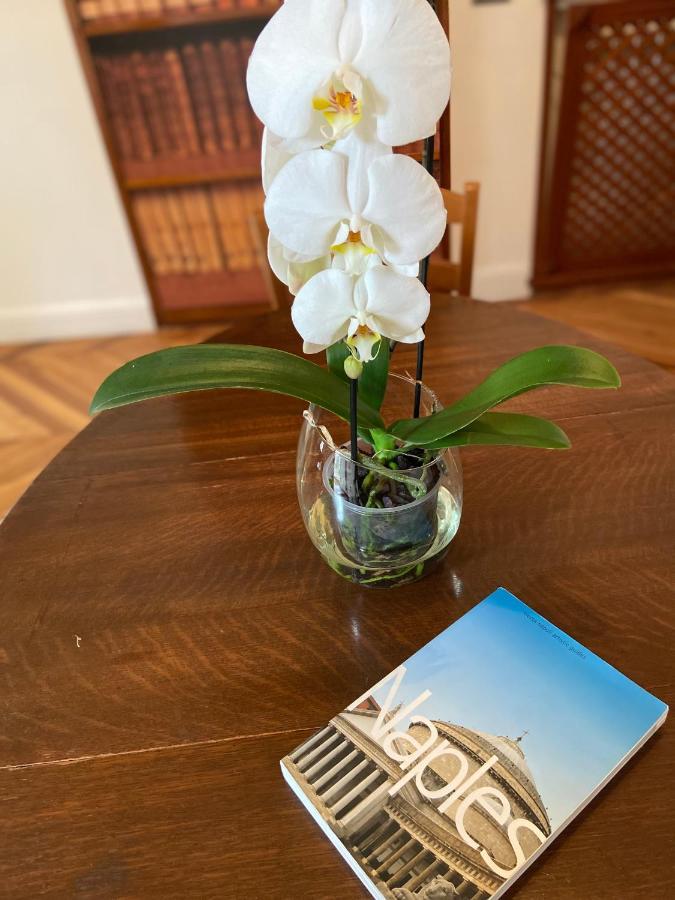 Appartement Residenzagemito Private Pool Sleeps 6 Naples